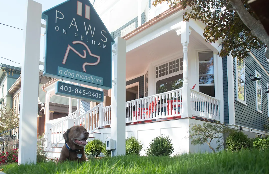 Paws On Pelham (Adults Only)-1
