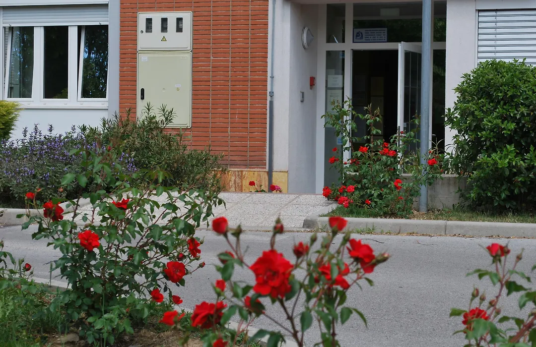 Bed And Breakfast Kogoj-1