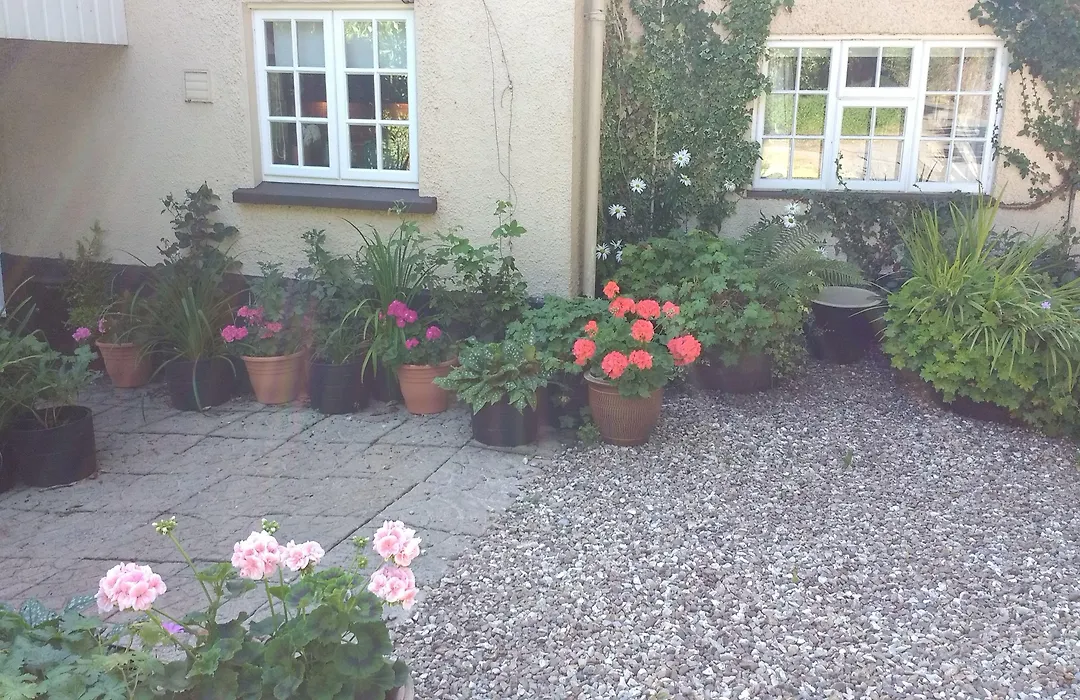 Brambles Bed And Breakfast-1