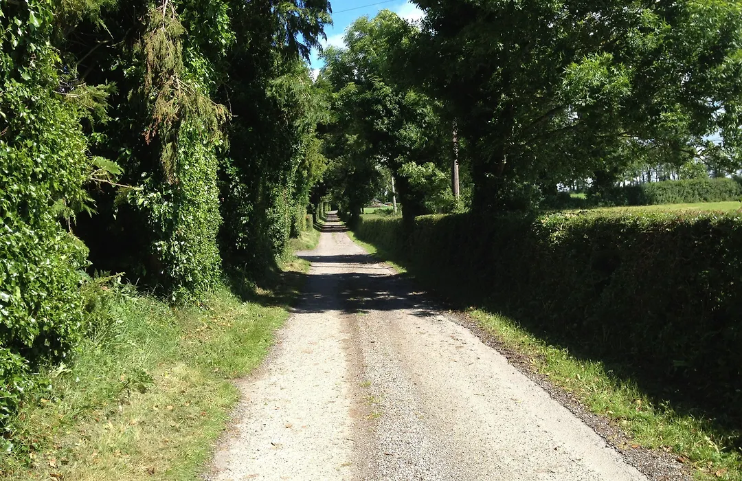 Ballindrum Farm B&B-1