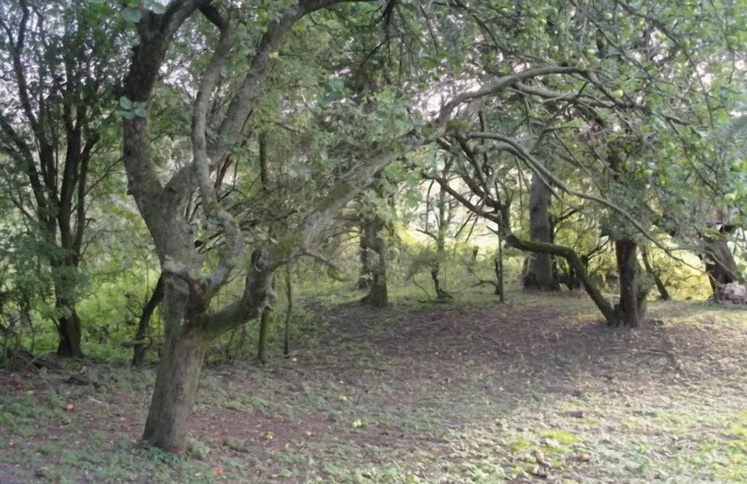 Newsham Grange Farm-1
