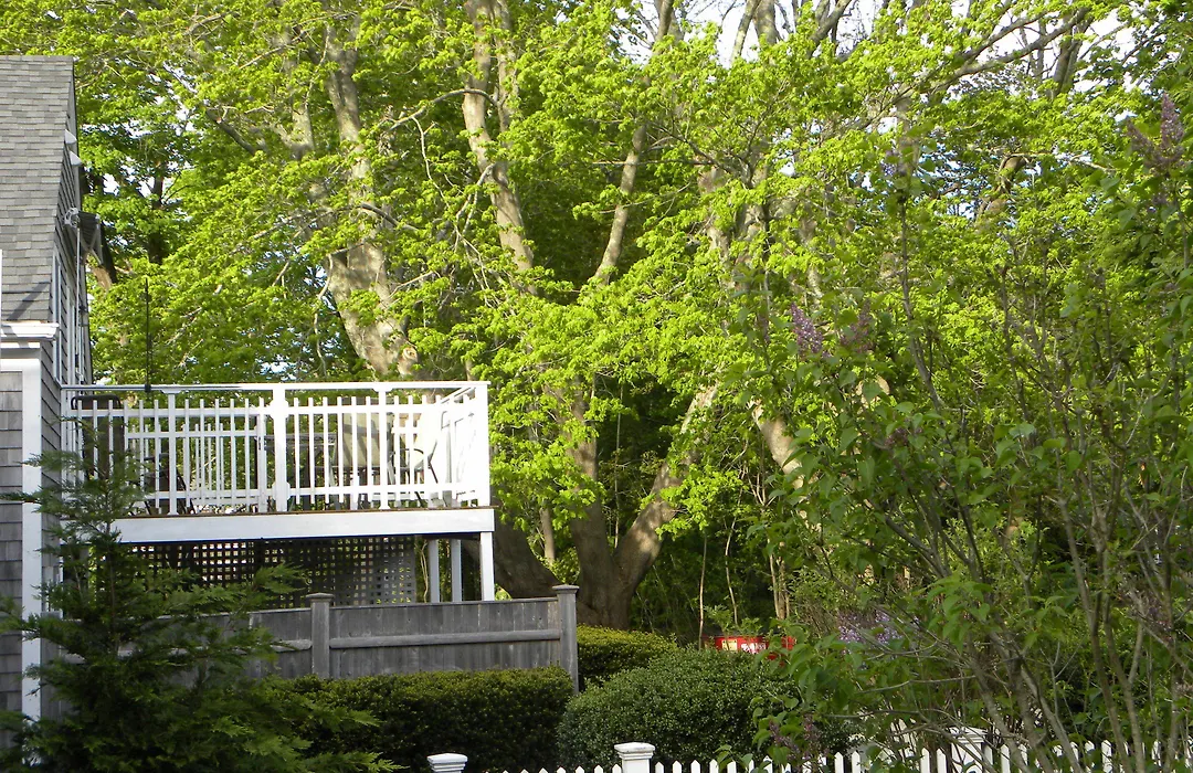 Candleberry Inn On Cape Cod-1
