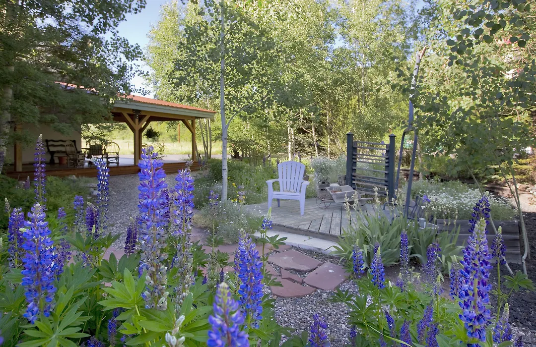 Mariposa Lodge Bed And Breakfast-1