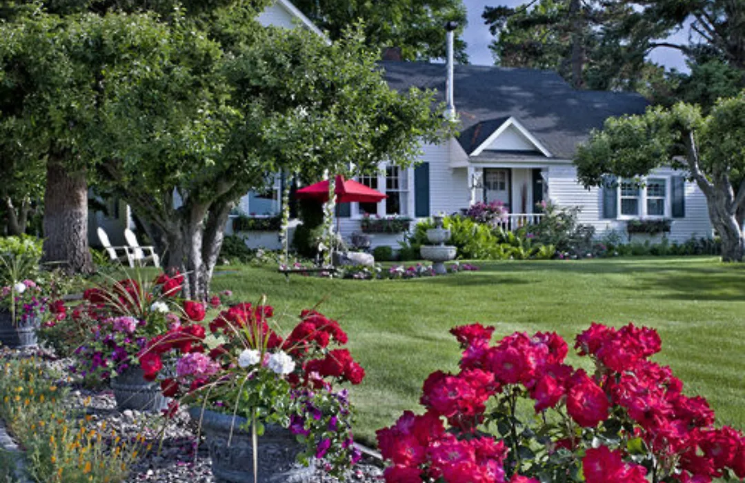 Cozy Rose Inn-1