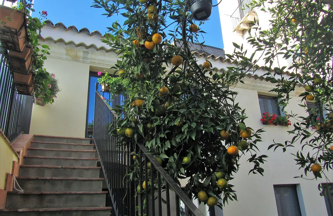 B&B - ComeinSicily CortedeiLimoni - Charming&Relaxing Luxury-1