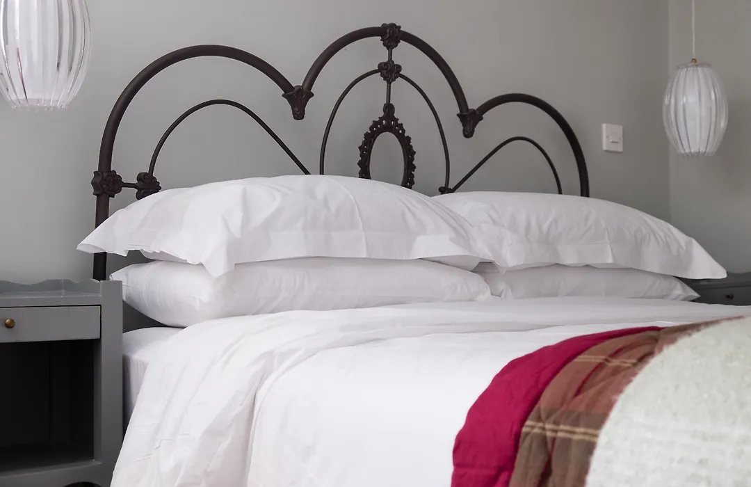 The Graig Bed & Breakfast Ludlow-1