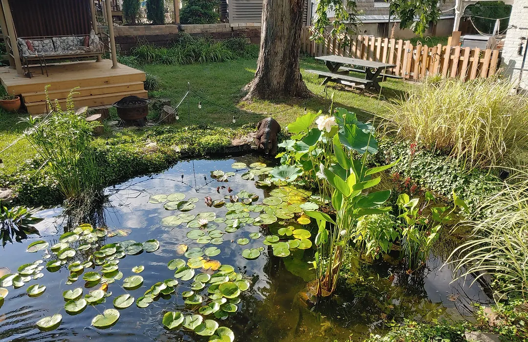 Lily Garden Bed And Breakfast-1