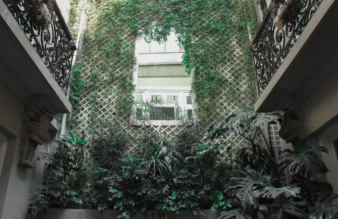 Nima Local House Hotel & Spa-1