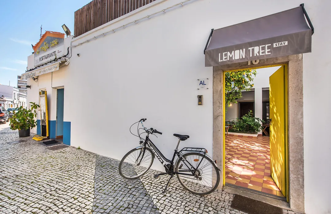 Lemon Tree Stay-1