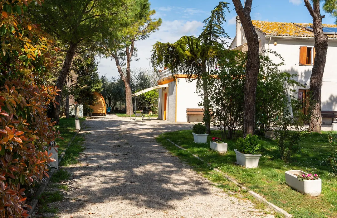 B&B Sotto le Stelle-1