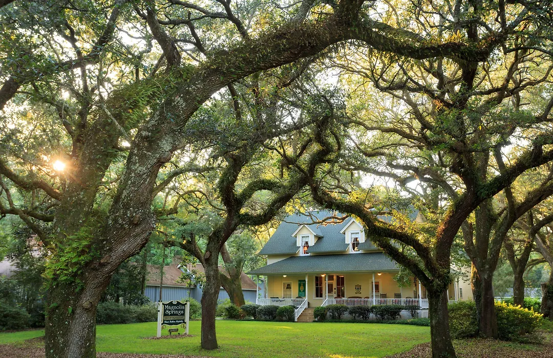Magnolia Springs Bed And Breakfast-1