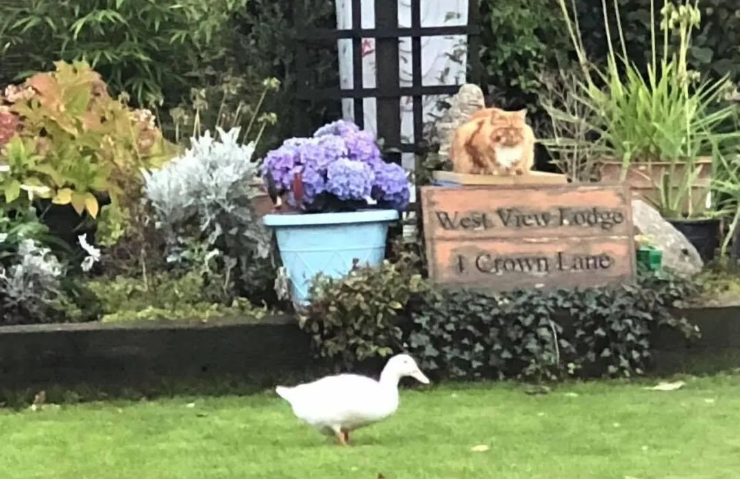 West View Lodge-1