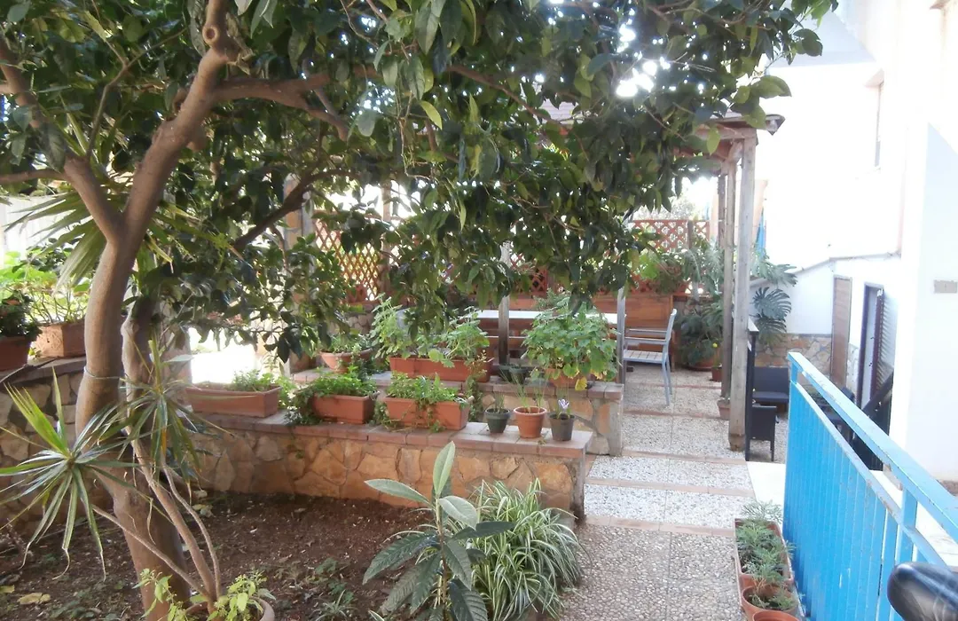 Busalacchi B&B-1