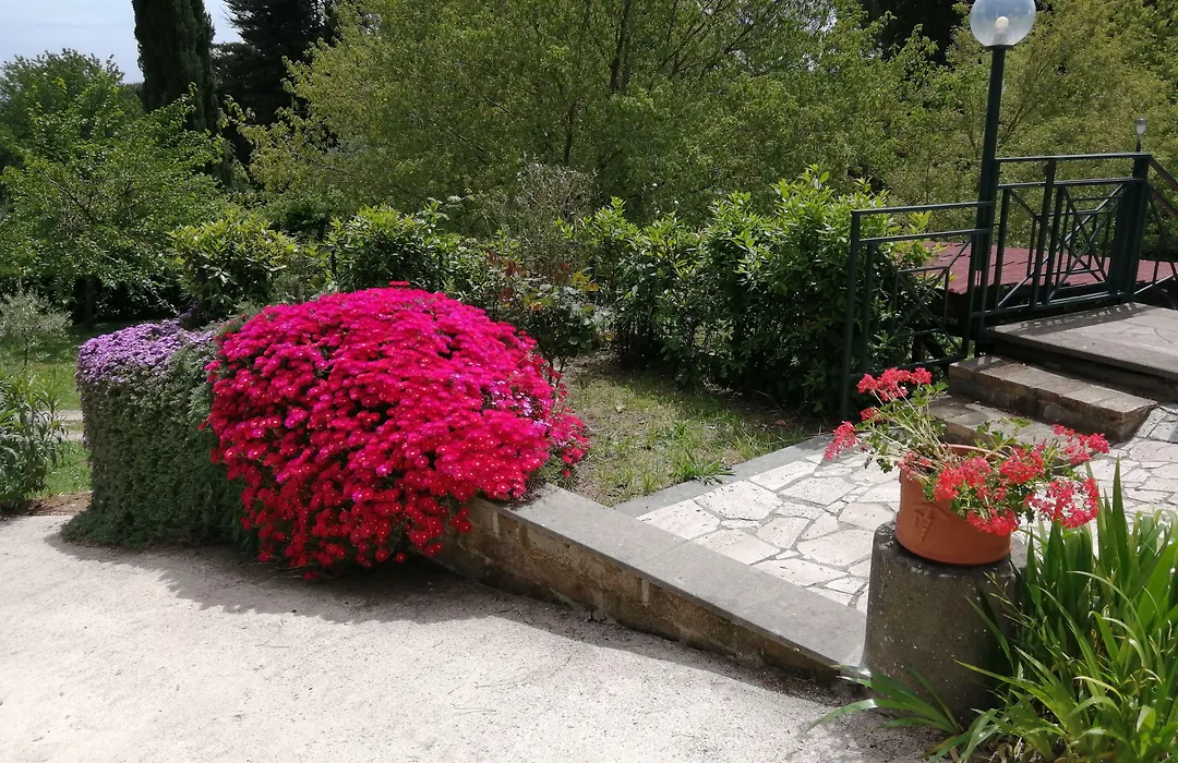 Vigna dell'Agrifoglio - Bed&Breakfast-1