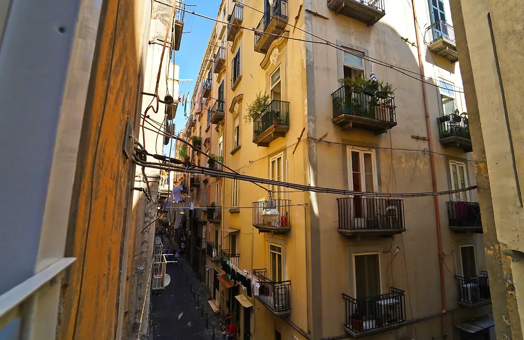 Neapolitan Flat 2 0-1