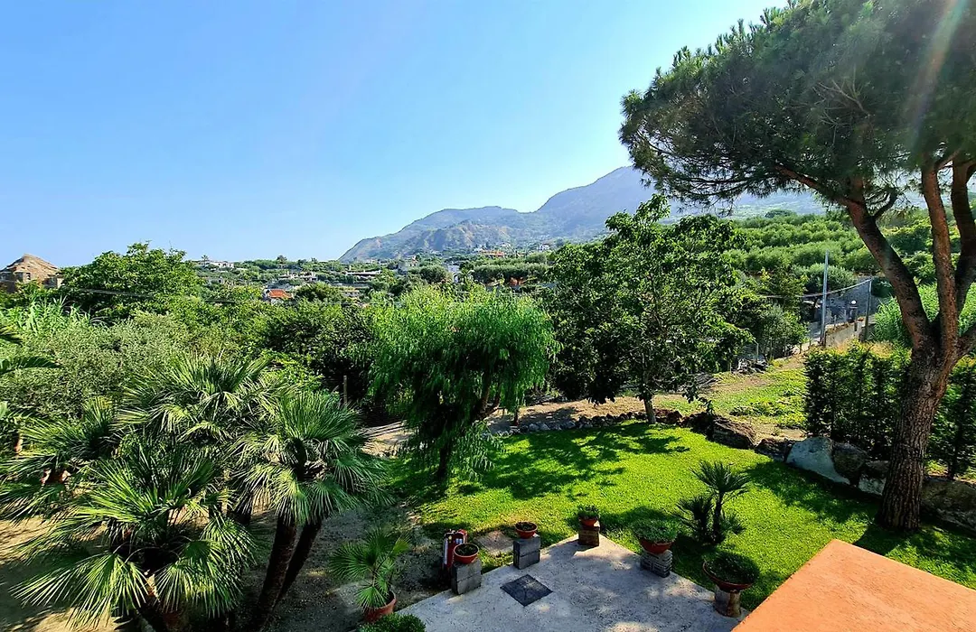 Cocos Park Ischia-1