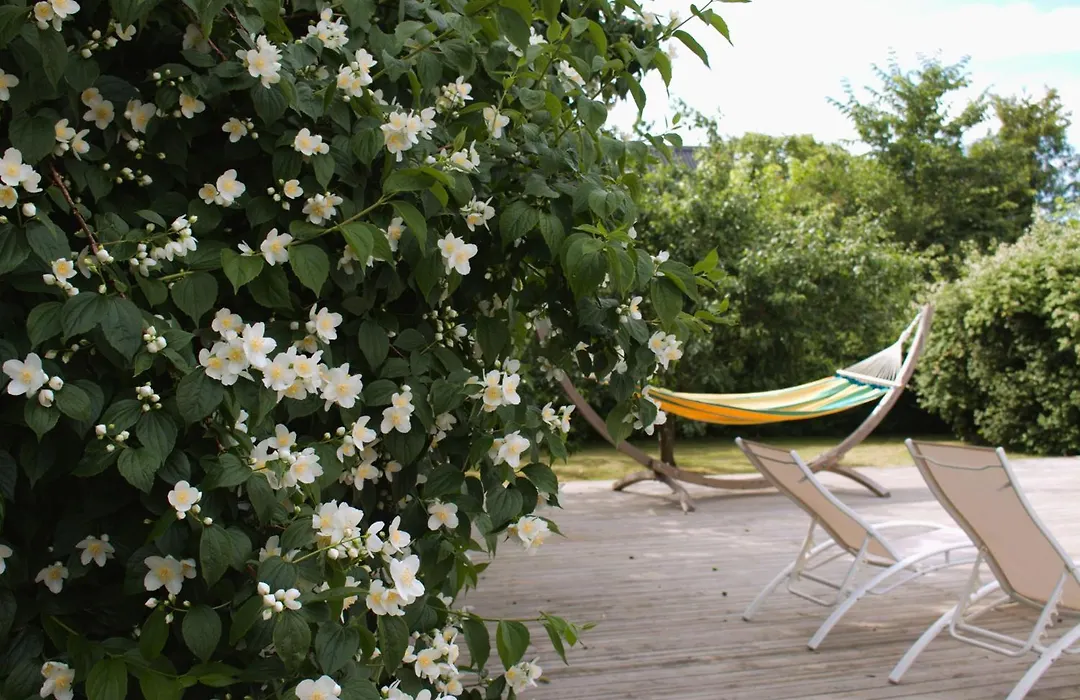 Landet Bed And Breakfast-1