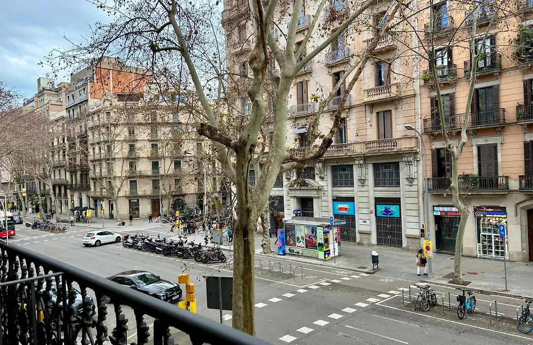 Storni Barcelona By Forget Me Not-1