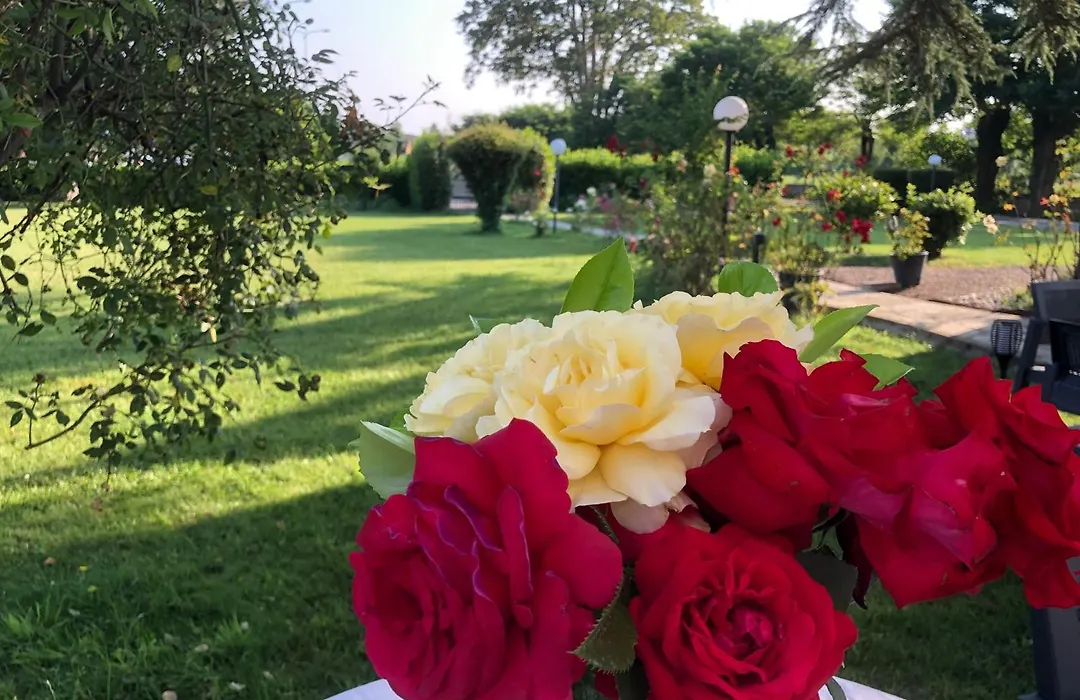 B&B Villa Prestigio-1
