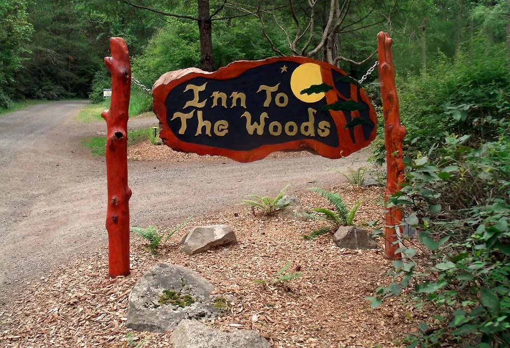 Inn To The Woods-1