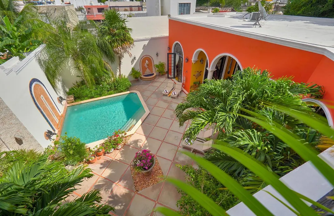 Casa Oasis Guest House And Spa-1