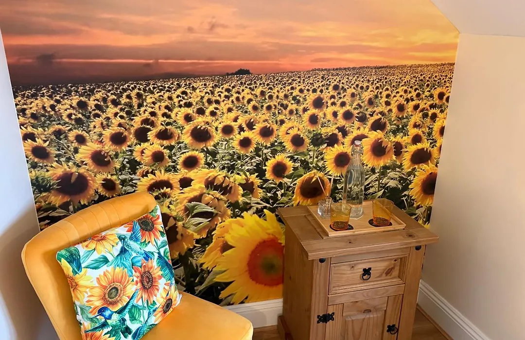 All Seasons Bed & Breakfast - Adults Only-1