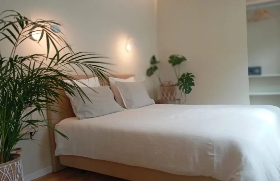 Santa Cruz - B&B-1