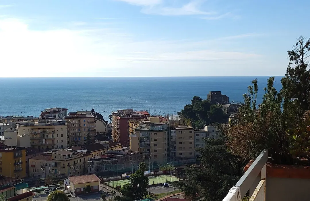 Le ginestre-1