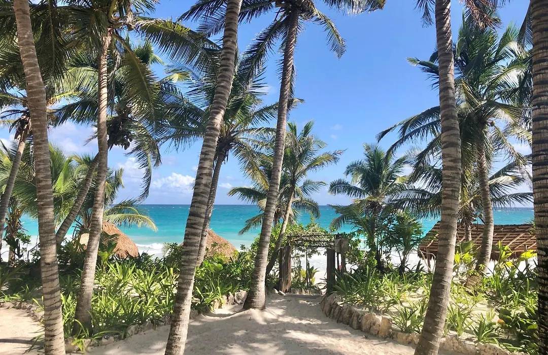 Olas Tulum-1