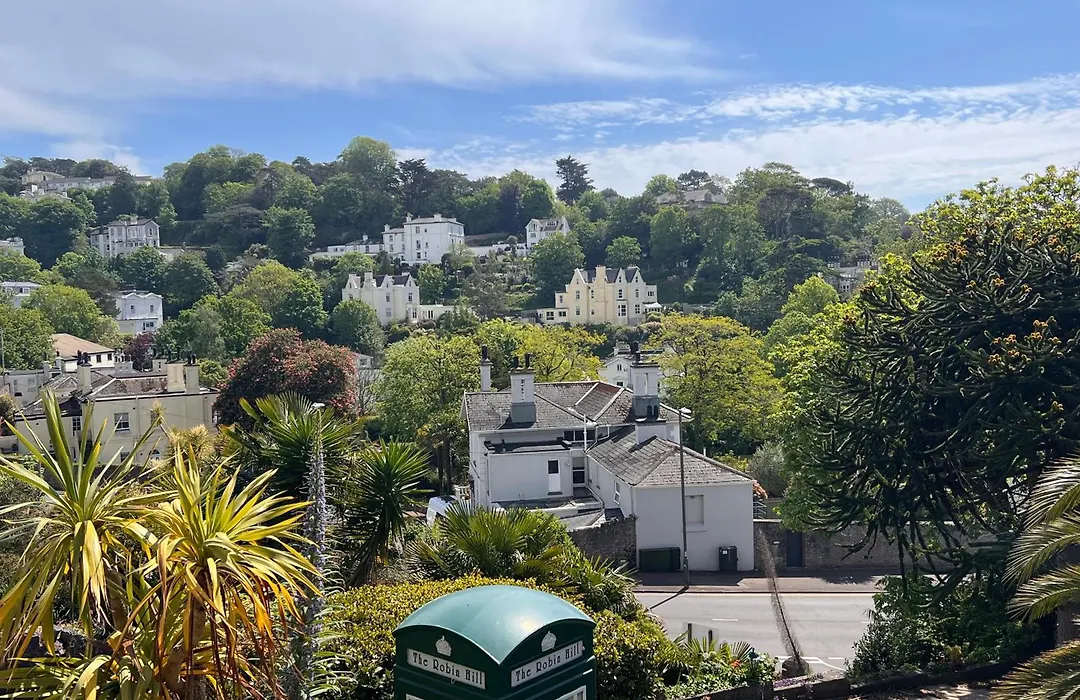The Robin Hill-1