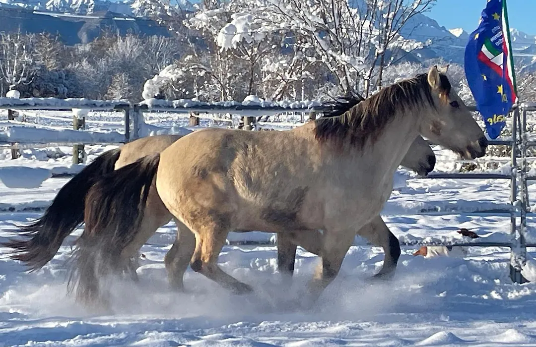B&B Cm Ranch-1