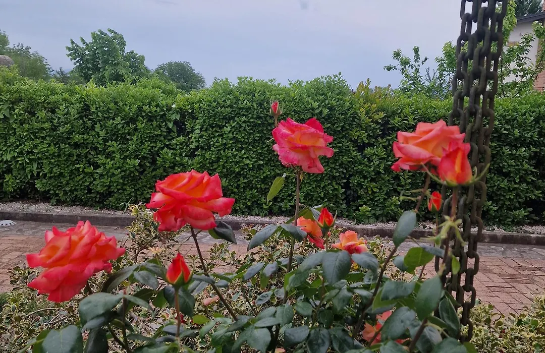 Villa Annamaria-1