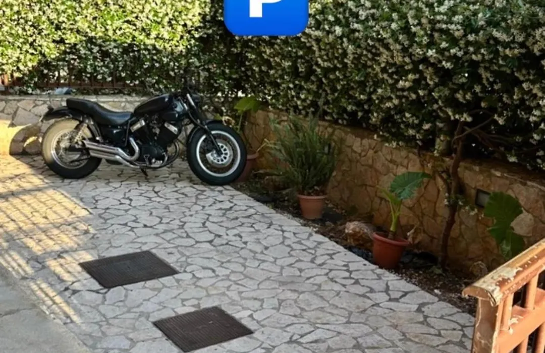 Scilla E Cariddi-1
