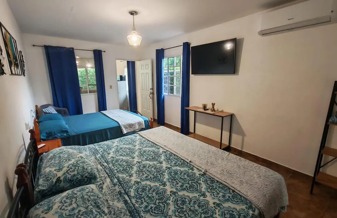 Little Italy B&B-1