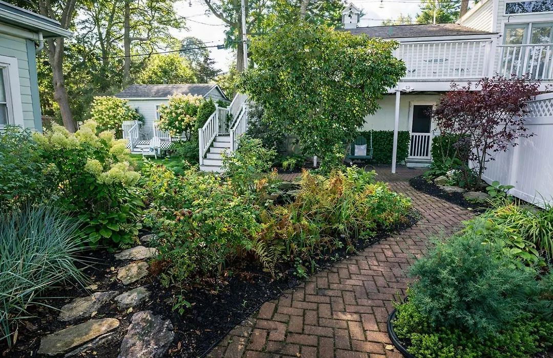 The Trellis House-1