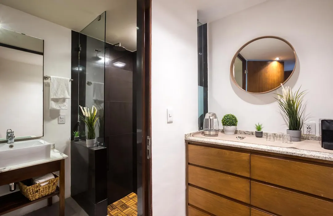 Livin Condesa-1