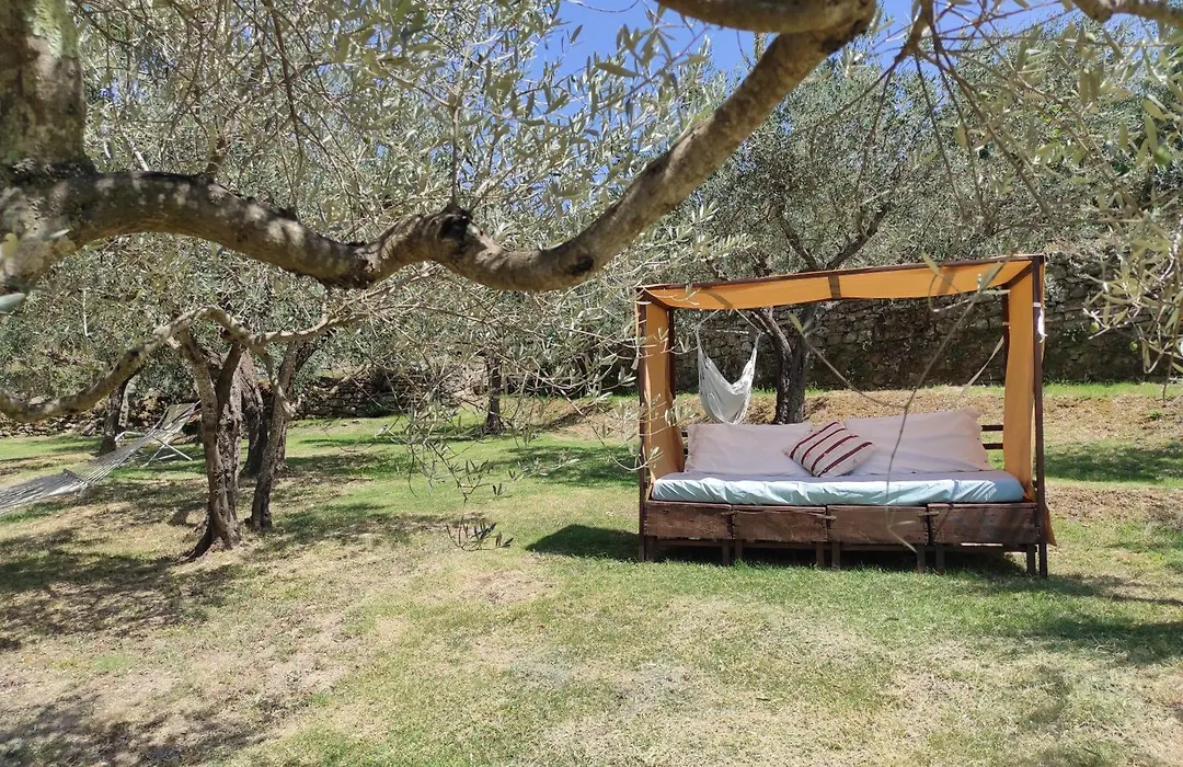 La Casa Tra Gli Ulivi-1