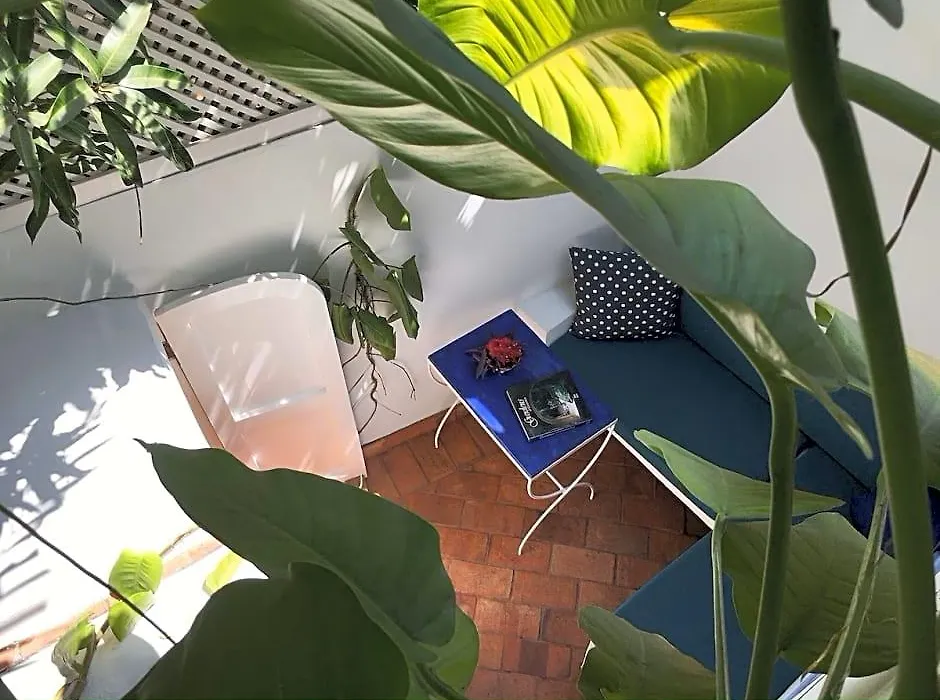 Lez Lezards Bed & Breakfast-1