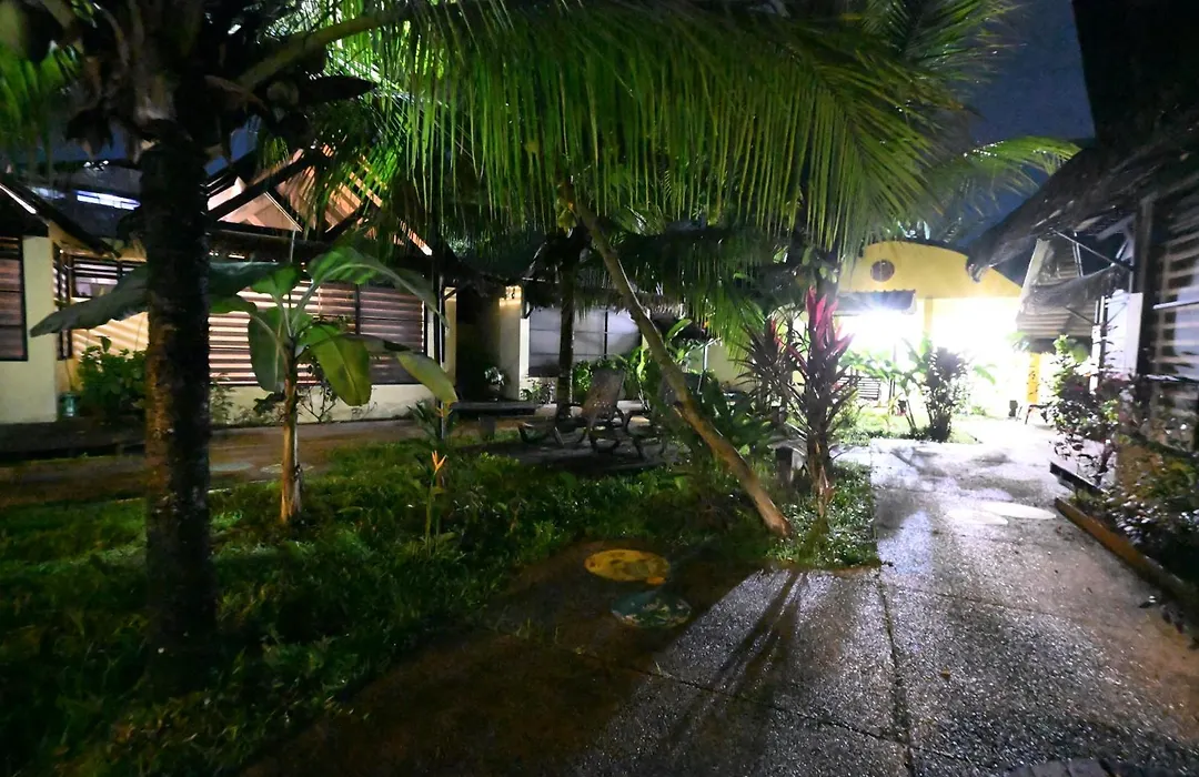Hotel Amazon Bed And Breakfast-1
