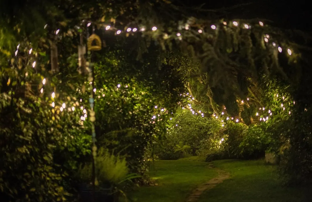 Ward Avenue B&B-1