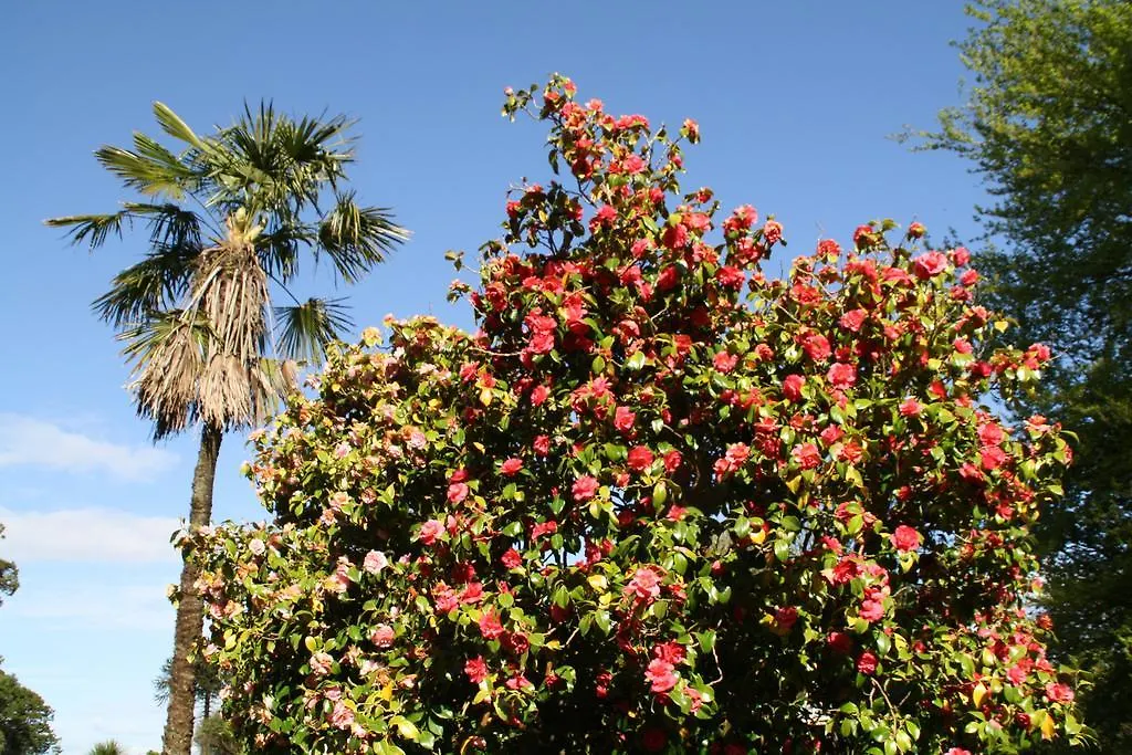 Maranatha Country House-1