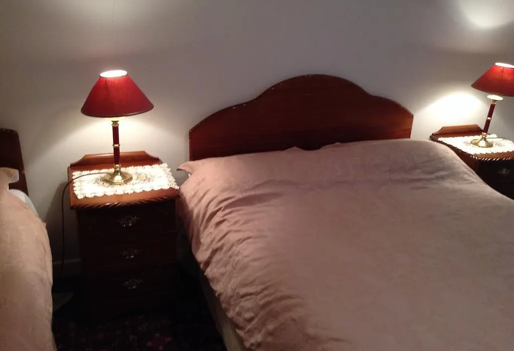 Rodini B&B-1