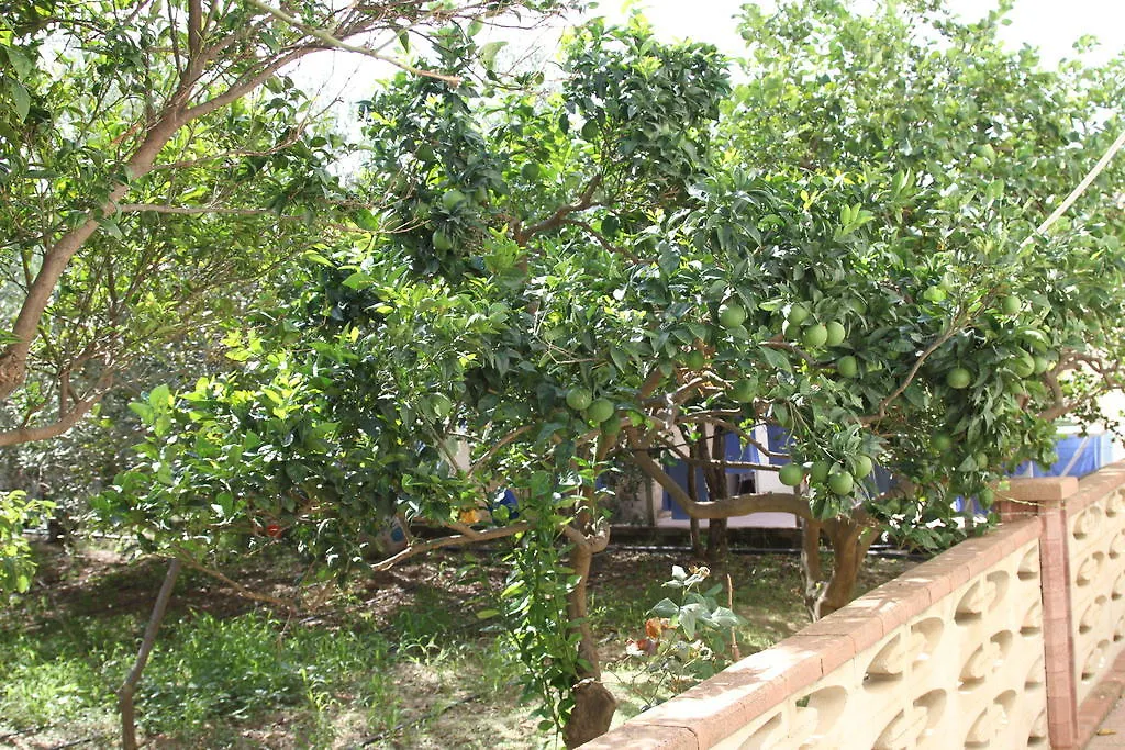 B&B Giarrizzo-1