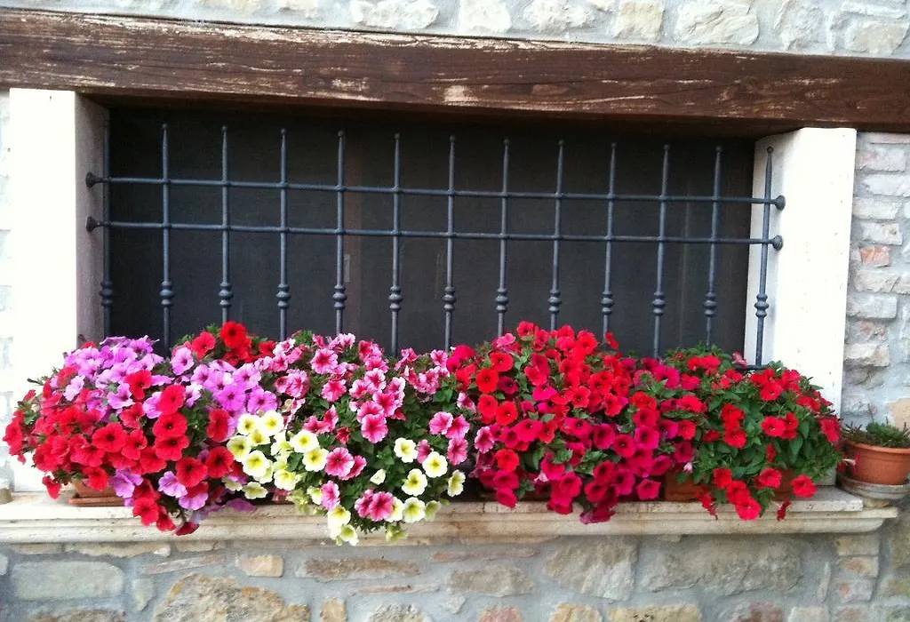 Agriturismo La Cantina-1