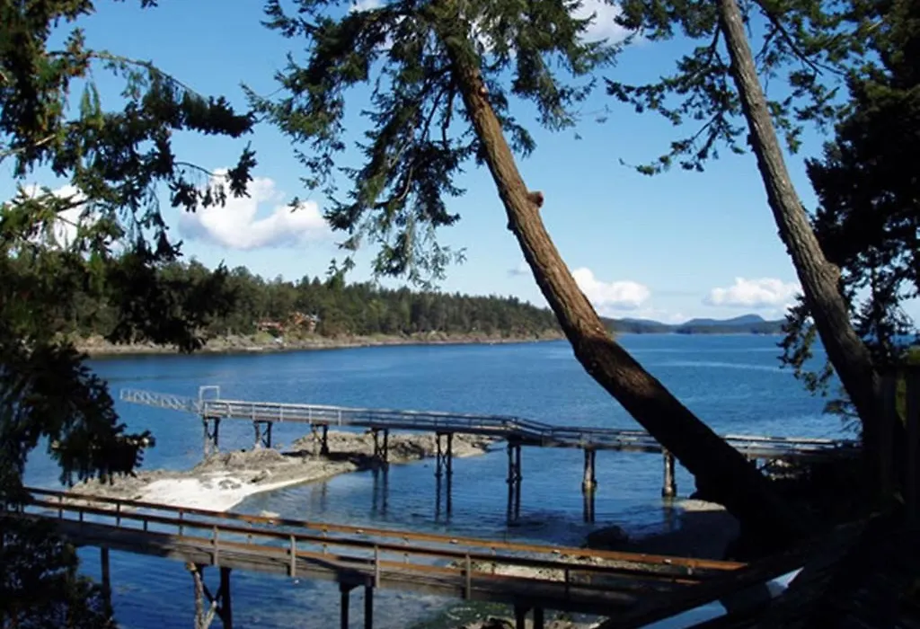 Arbutus Point Oceanfront B And B-1
