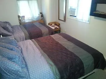 Teddy Bear Bed & Breakfast-1