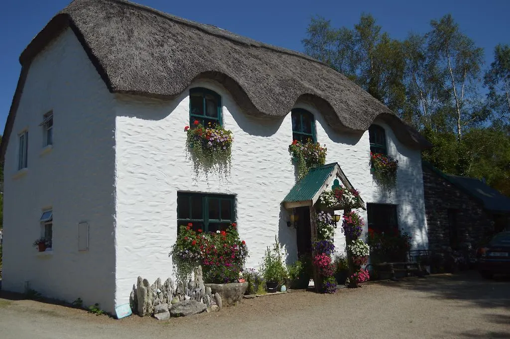 Lissyclearig Thatched Cottage-1