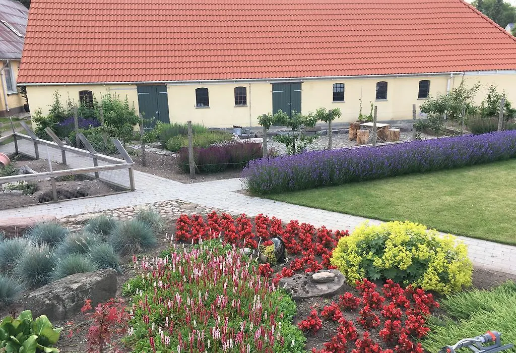 Birkende Bed&Breakfast-1