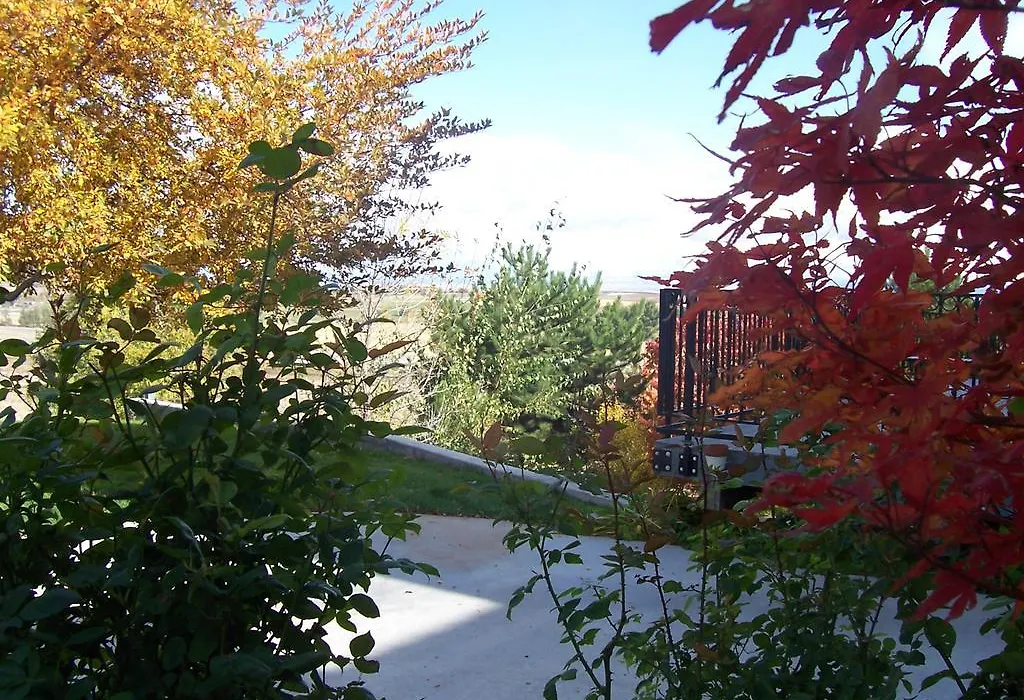 Wild Rose Manor Bed & Breakfast-1