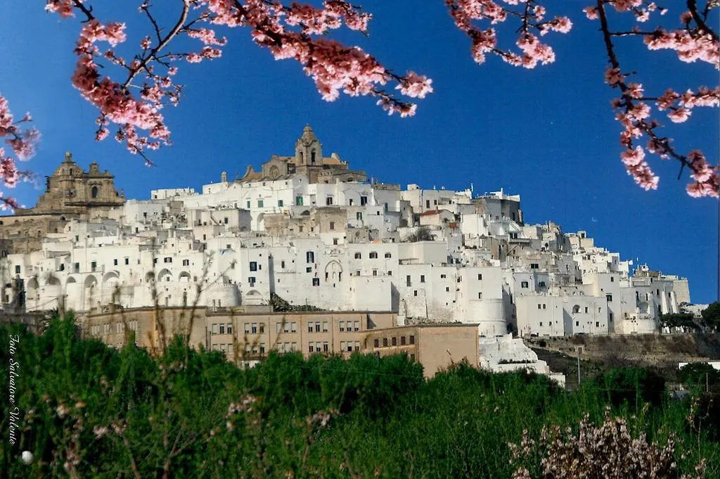 Albachiara Bed & Breakfast-1